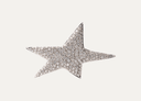 Broche de oro blanco y brillantes